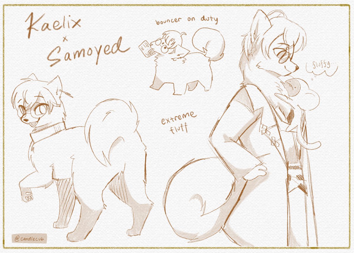 🕯️🦁 tweet media