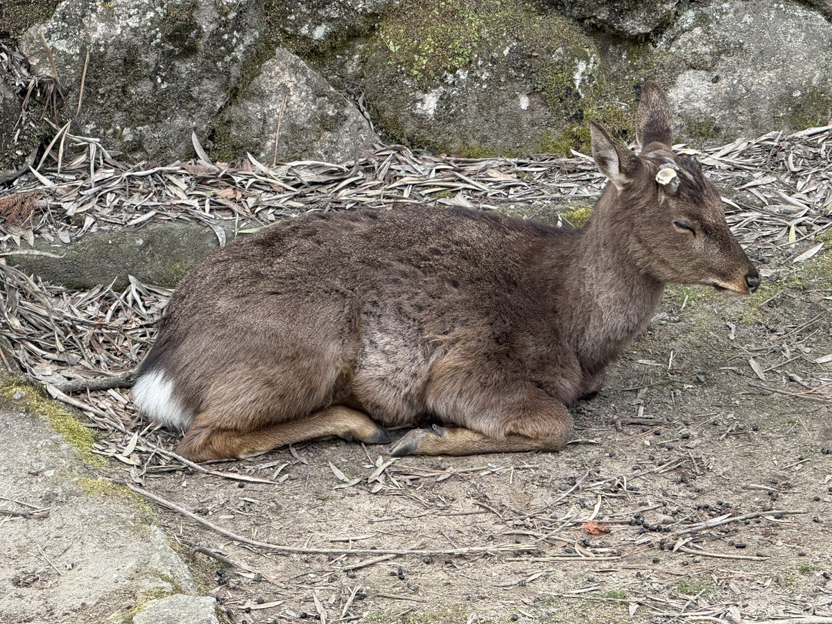 次のヘッダーこれにしようかな