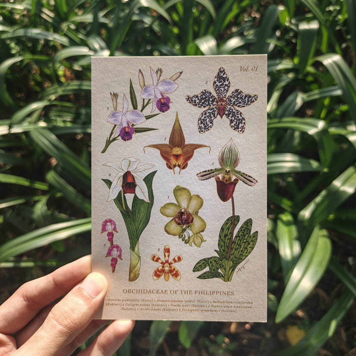 Postcard from Paulina Dennise acquired from the Patron of the Arts showcase.