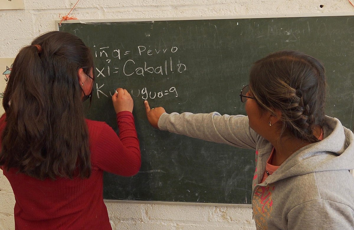 🚨 #Cultura | Esmeralda es una de las últimas voces del ixcateco en México. Una lengua que agoniza y lucha por no desaparecer. Conoce la historia de esta guardiana y la urgencia de rescatar nuestra herencia lingüística. 🗣️🇲🇽👇
zurl.co/Lhd3P