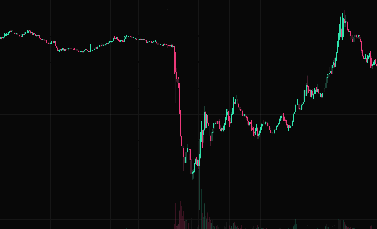 杀破狼 WolfyXBT tweet media