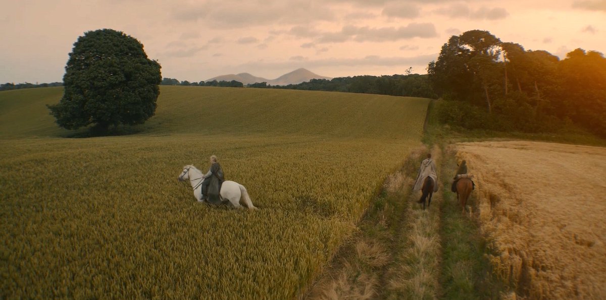 Nerd em Cartaz tweet media