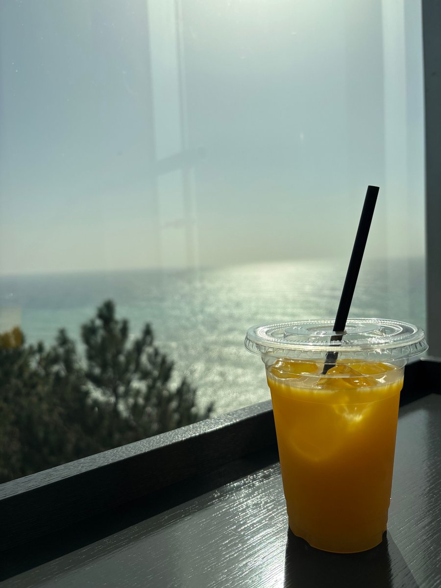 本日「歴史の面白さを学ぼう」イベント最終日です✨ 学芸員体験