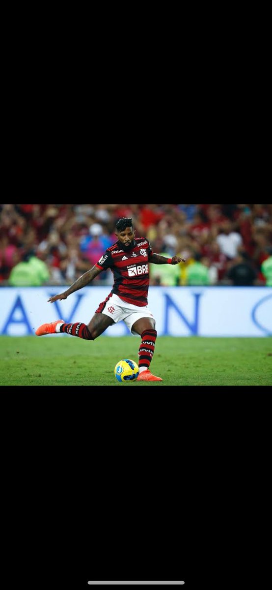 Flamengo☭⃠♕🇬🇧🇭🇺🇬🇷🏳️➡️💸🗽♟️⚽️ tweet media