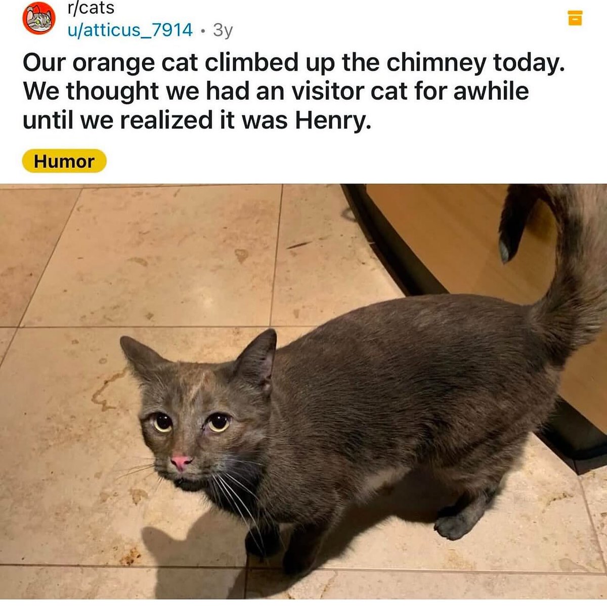 Reddit But Funny tweet media