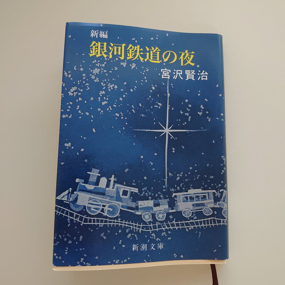 宮沢賢治をじっくり読んでいる。 理解が追いつかないが脳フル回転され
