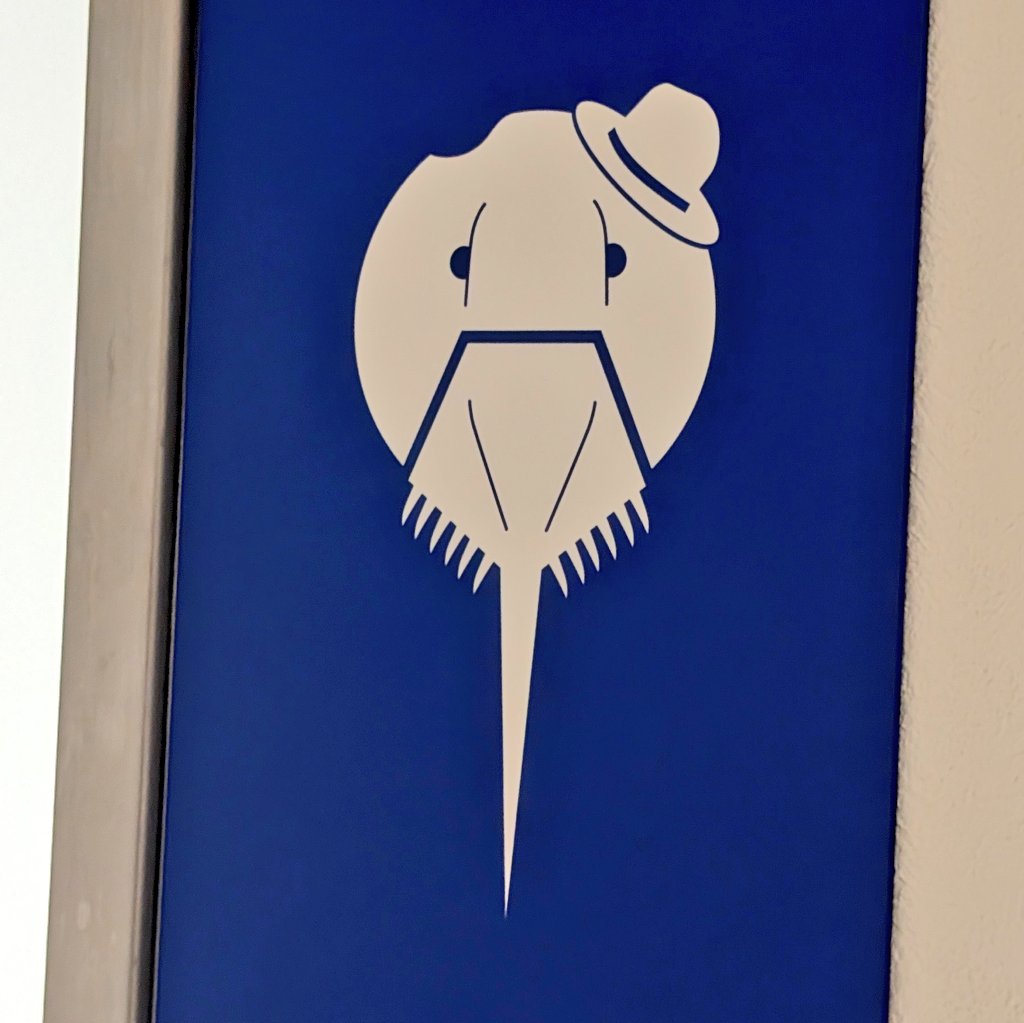 亜留間次郎 (@aruma_zirou) / Highlights / X