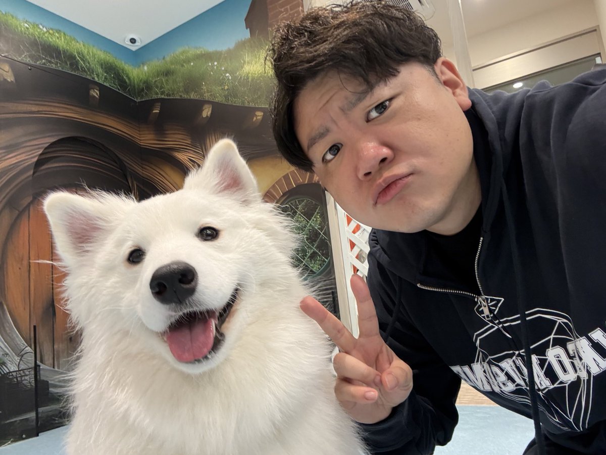 サモエドちゃん可愛すぎた🥰