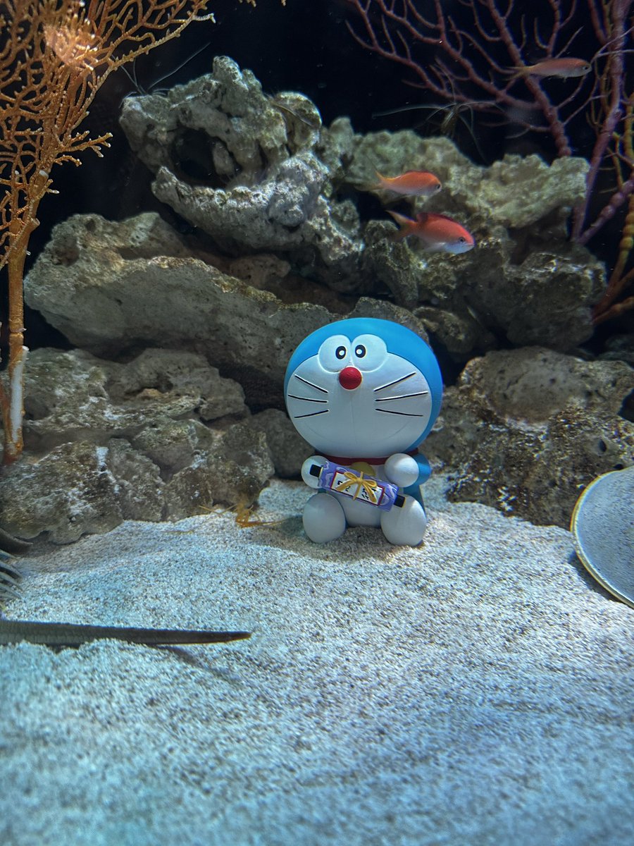 nojio116's tweet photo. 行ってきた
#映画ドラえもん
#沼津港深海水族館 https://t.co/SZKsJBxCeP