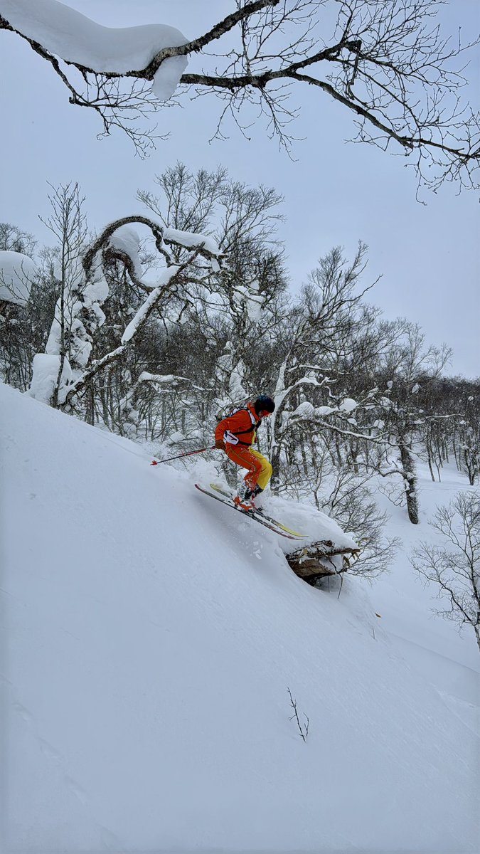 Ken Boessenkool tweet media