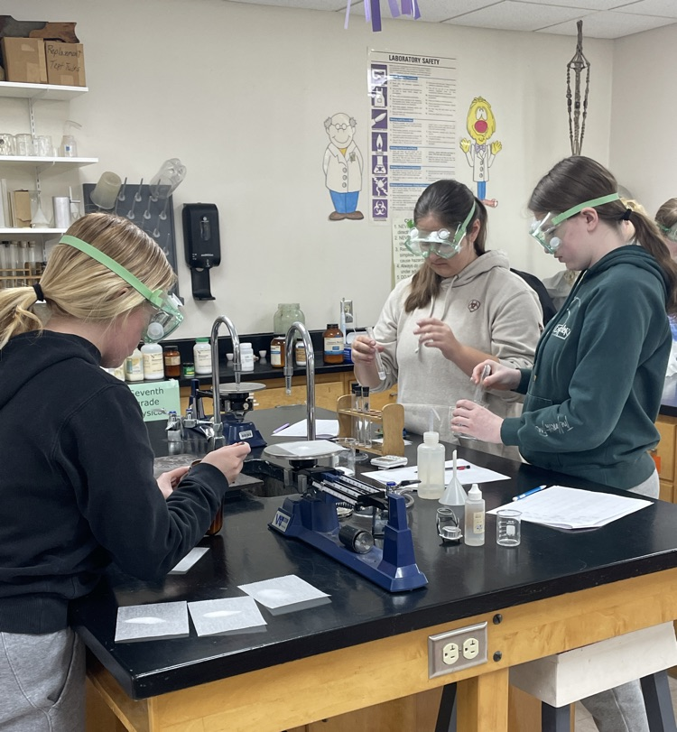 Chemistry class testing white substances to determine if they are ionic or molecular compounds.
