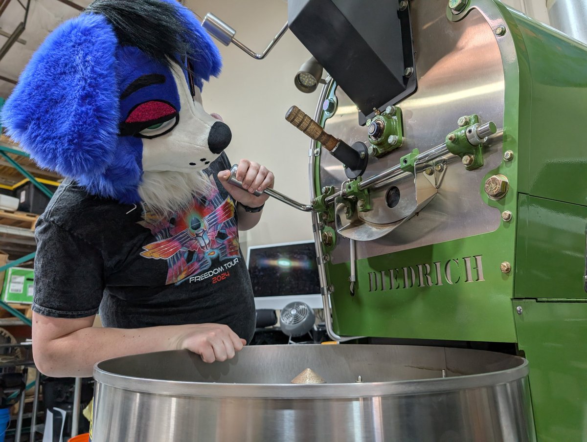 Saiiii 🔜 FE tweet media