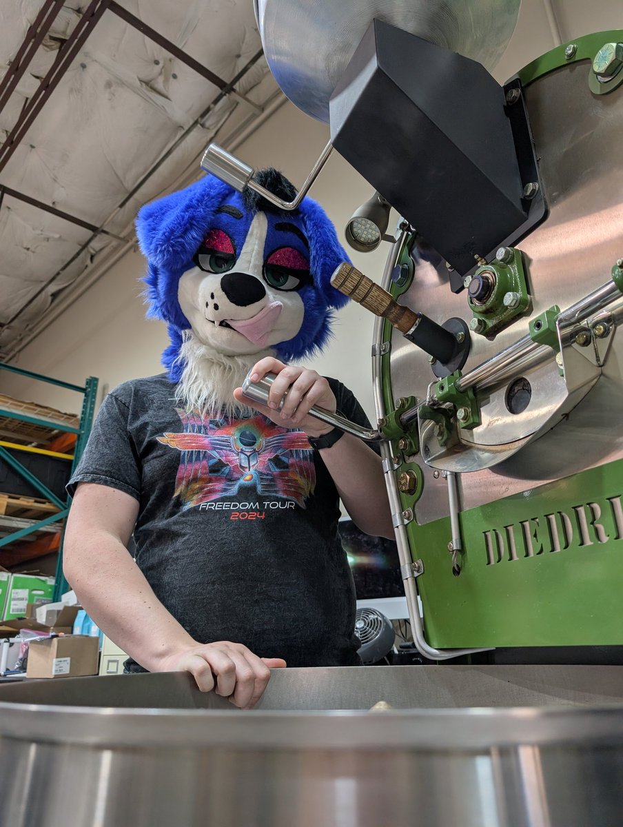 Saiiii 🔜 FE tweet media