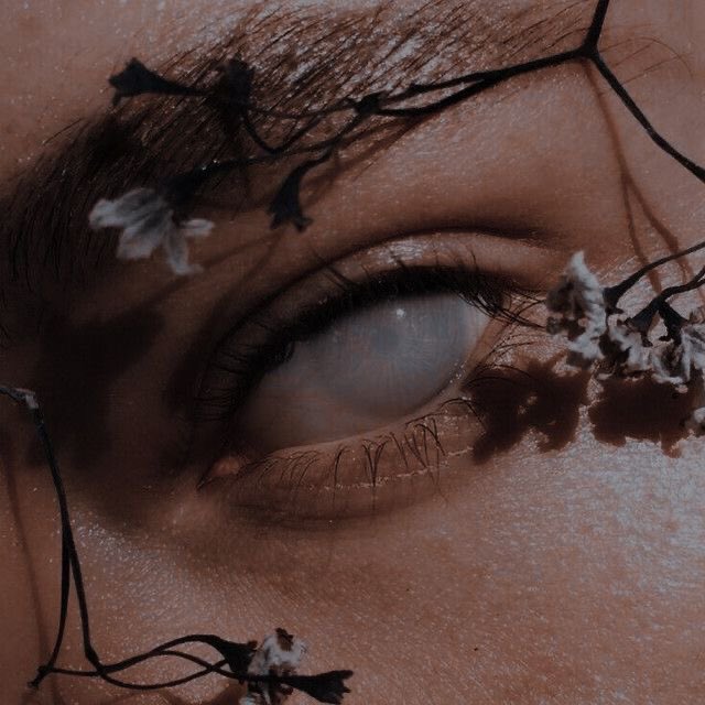 hxranpankow's tweet photo. “elain had always been gentle and sweet —and I had considered it a different sort of strength. a better strength. to look at the hardness of the world and choose, over and over, to love, to be kind. she had always been so full of light.” https://t.co/GTeLKAx1sk