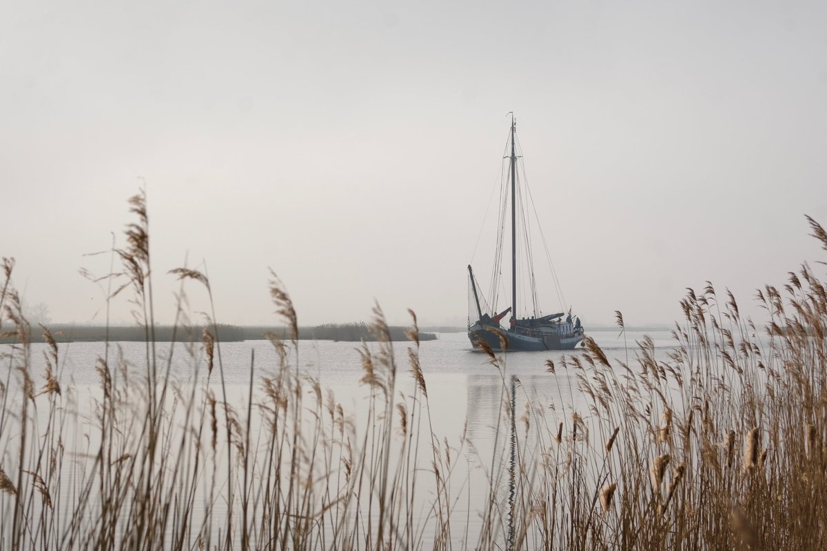 Wat is het toch een prachtig gebied. ✨

Wanneer je vanuit Zoutkamp richting Lauwersoog rijdt, ontvouwt zich een landschap waar je stil van wordt.

Je rijdt daar parallel aan de Zoutkamperril: de provincie Groningen op z’n mooist. Op het spiegelgladde water van deze voormalige