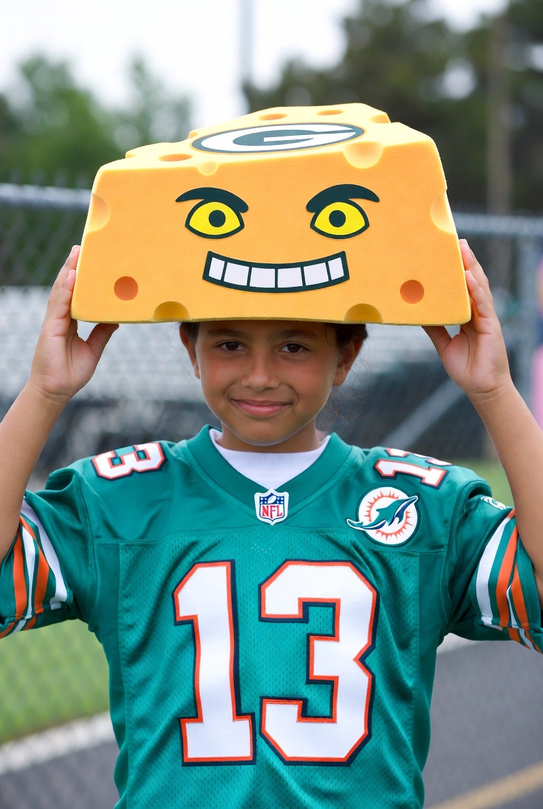 STL Dolphan tweet media
