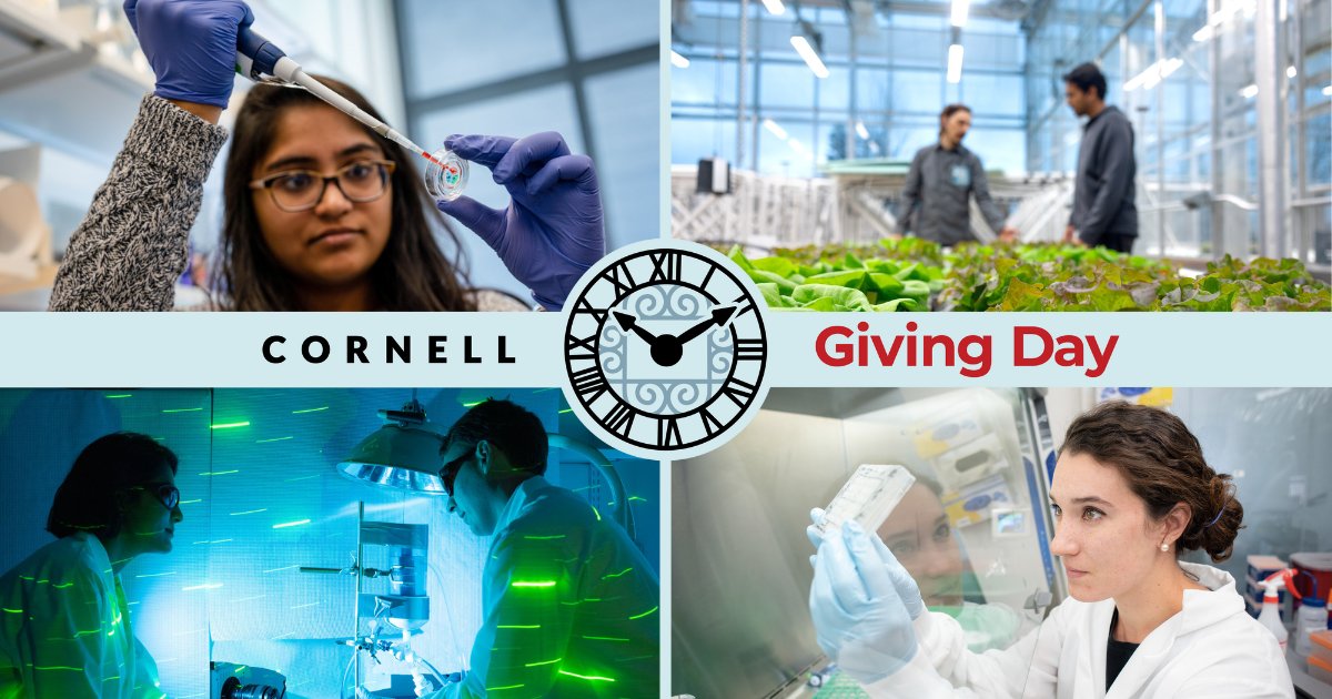 Cornell Biomedical Engineering tweet media