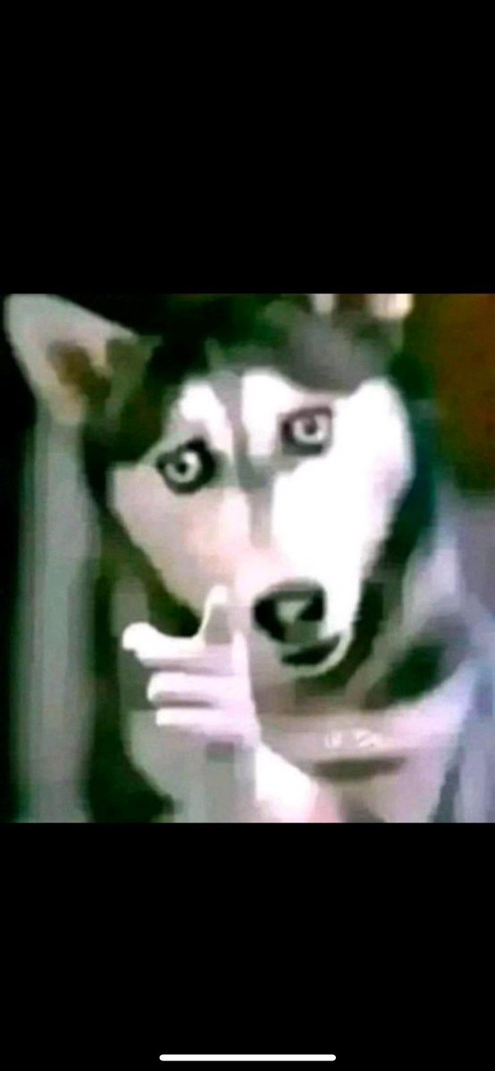 そ｜Shidou☃️猴子 tweet media