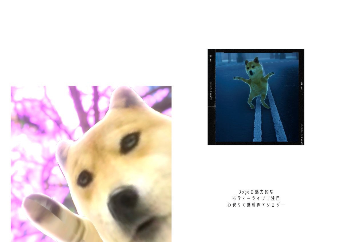 pikuto0912's tweet photo. おやすみ
#Doge3D
#変な犬 https://t.co/GdqxGx5pHJ