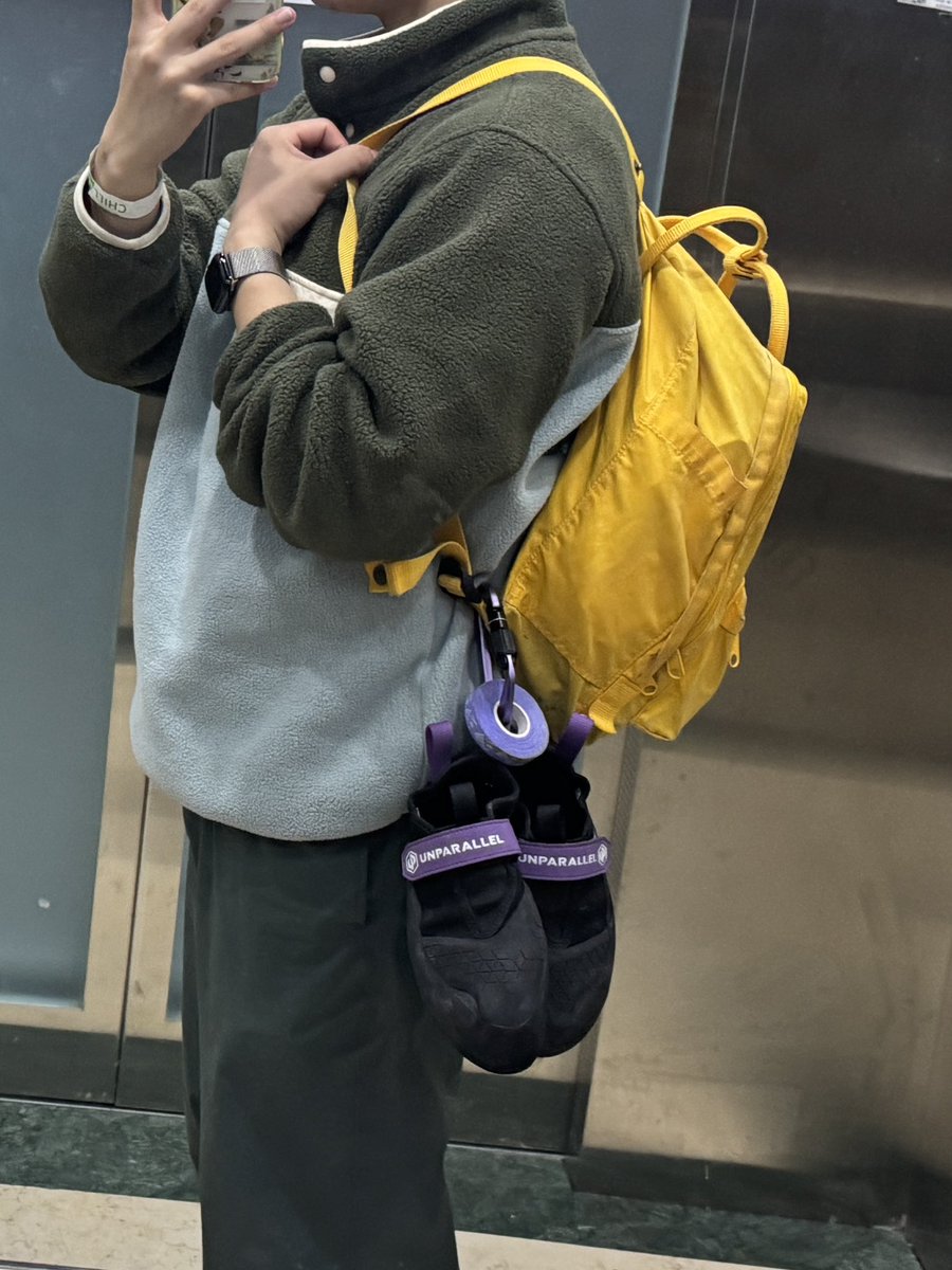 崩溃需要芬兰拉普猎犬 tweet media