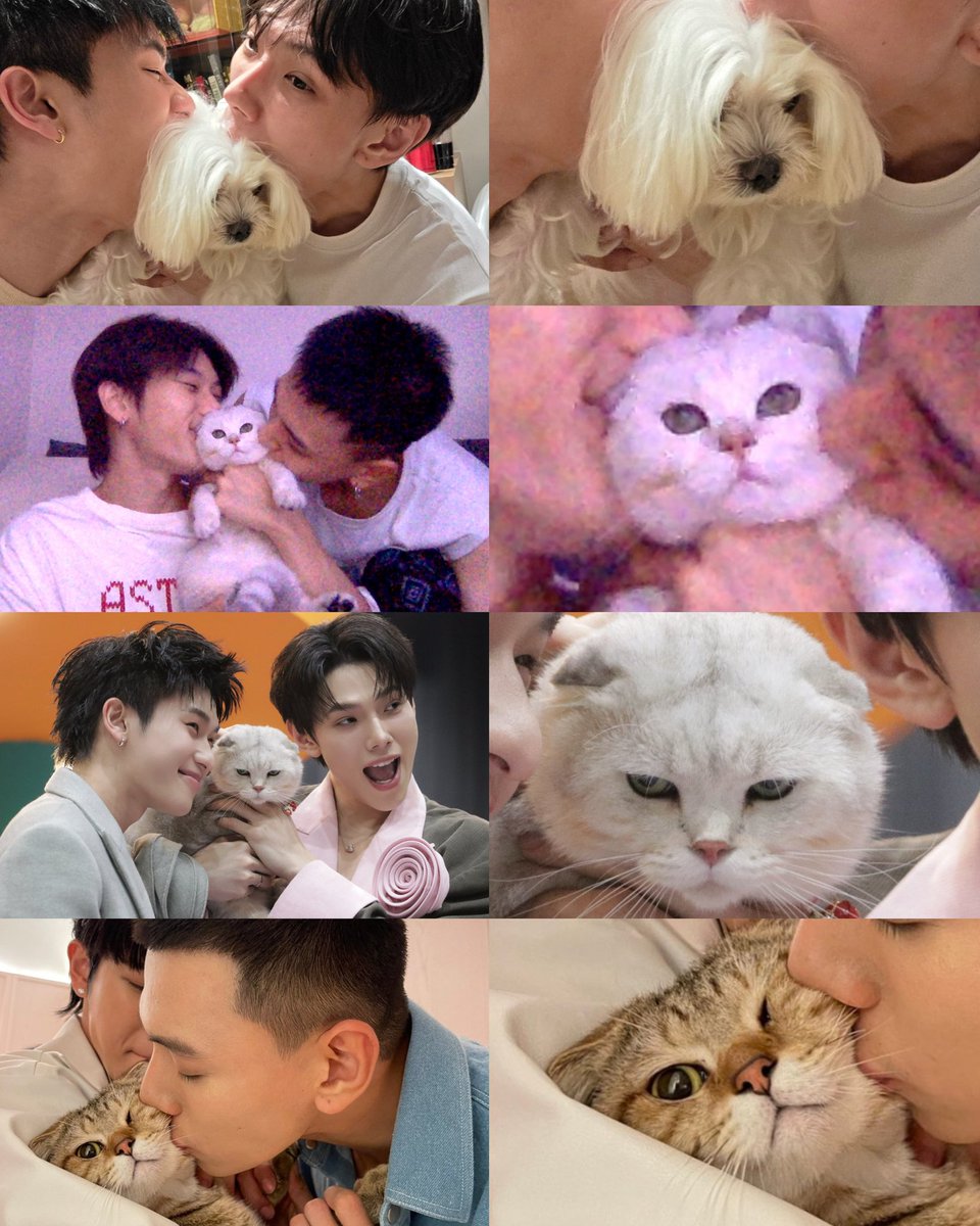 น้อนนนน 555555555