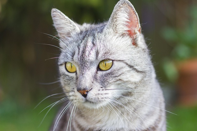 Pete Foley tweet media