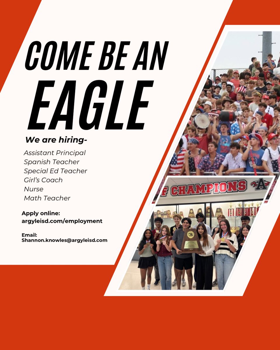 Shannon Knowles tweet media