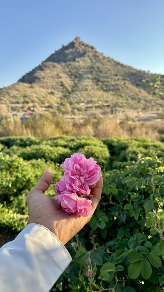 ‏﮼عبدالعزيز ﮼🫀💉 tweet media