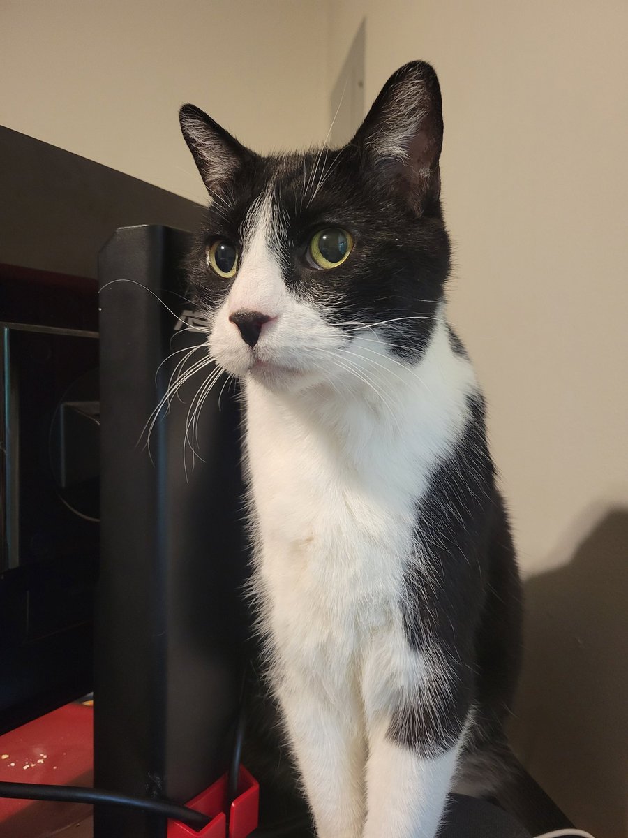 Colin Graham tweet media