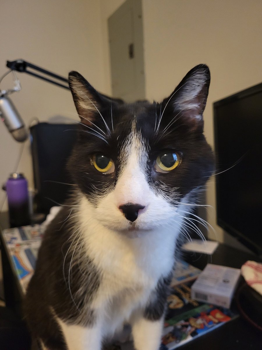 Colin Graham tweet media