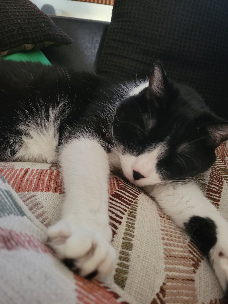 Colin Graham tweet media