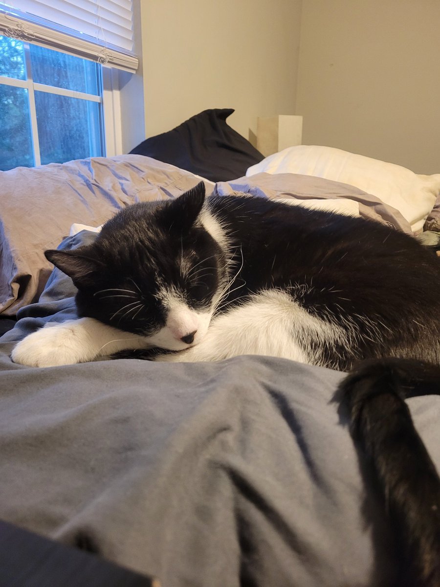 Colin Graham tweet media