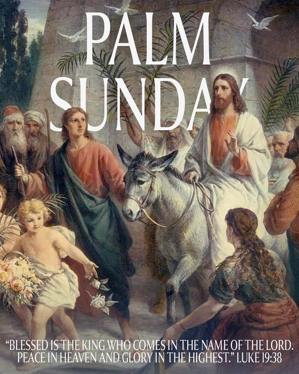 Buddy Carter tweet media