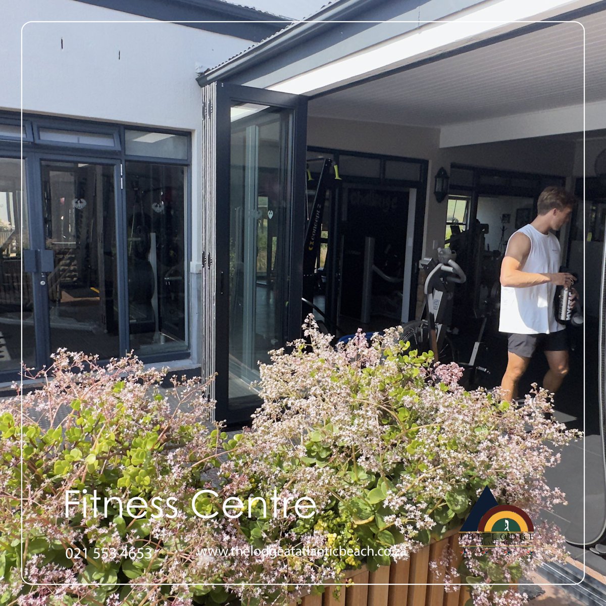 Atlantic Beach Lodge tweet media