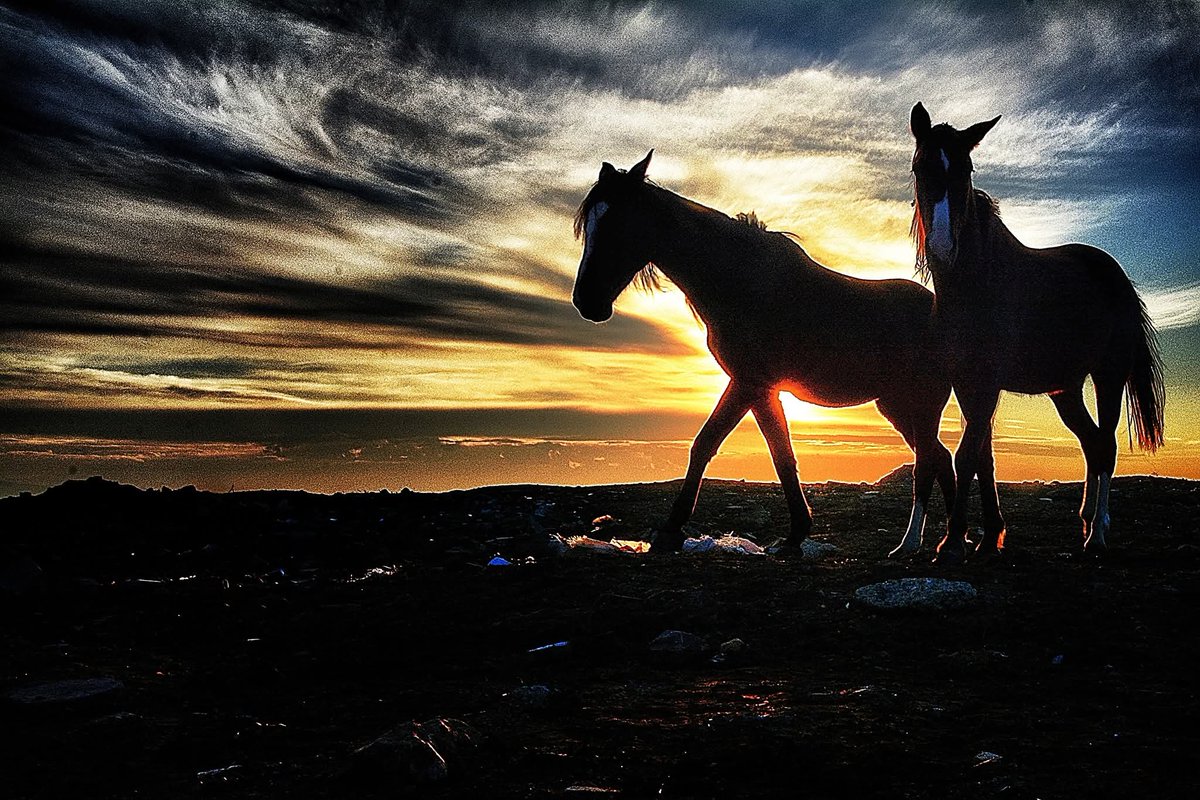"Sen bütün saatlersin ve hiçbir an..." 

#Paz

Fotoğraf; Tülin Ertürk