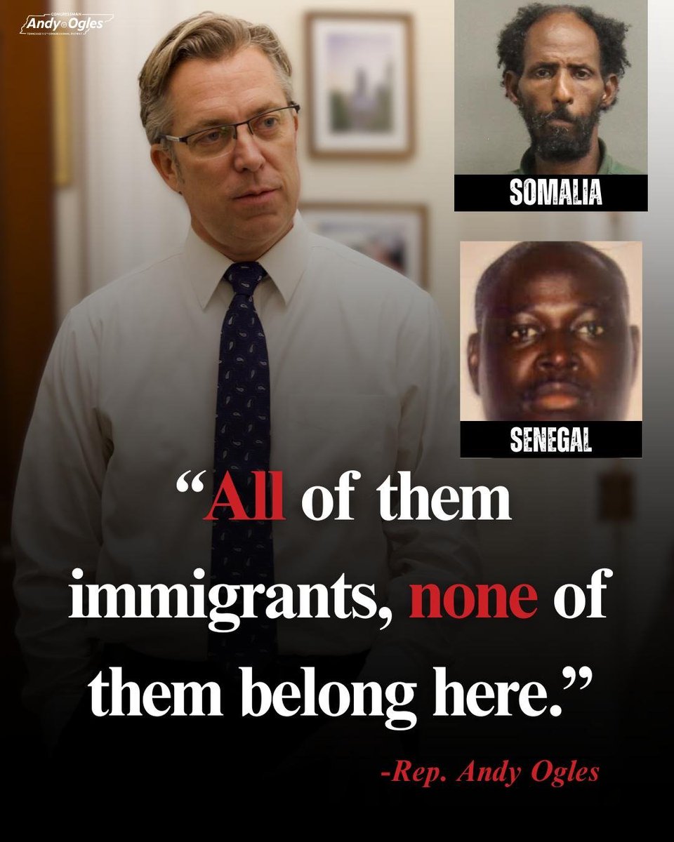 Rep. Andy Ogles tweet media
