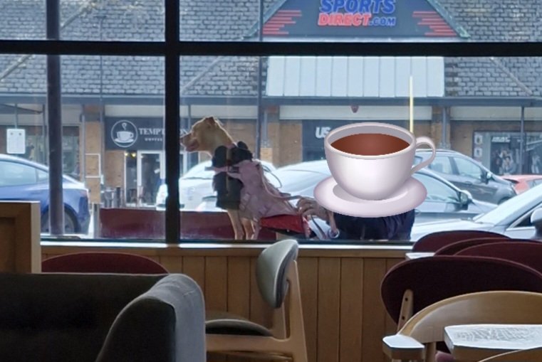 🏴🇪🇺💜⌘-☾€☈☿ⓢ-⌘🏴🇪🇺💜 tweet media