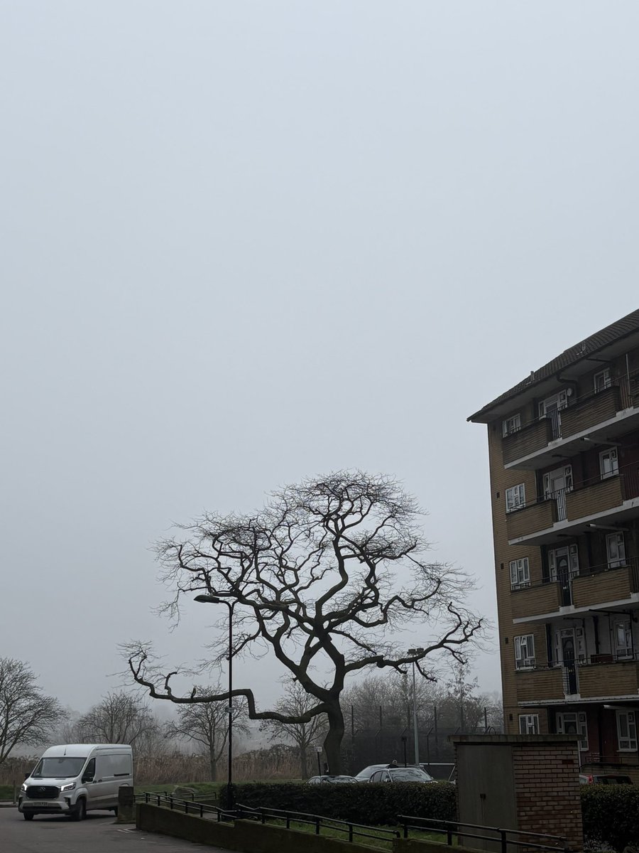 Sanskar Jethi tweet media