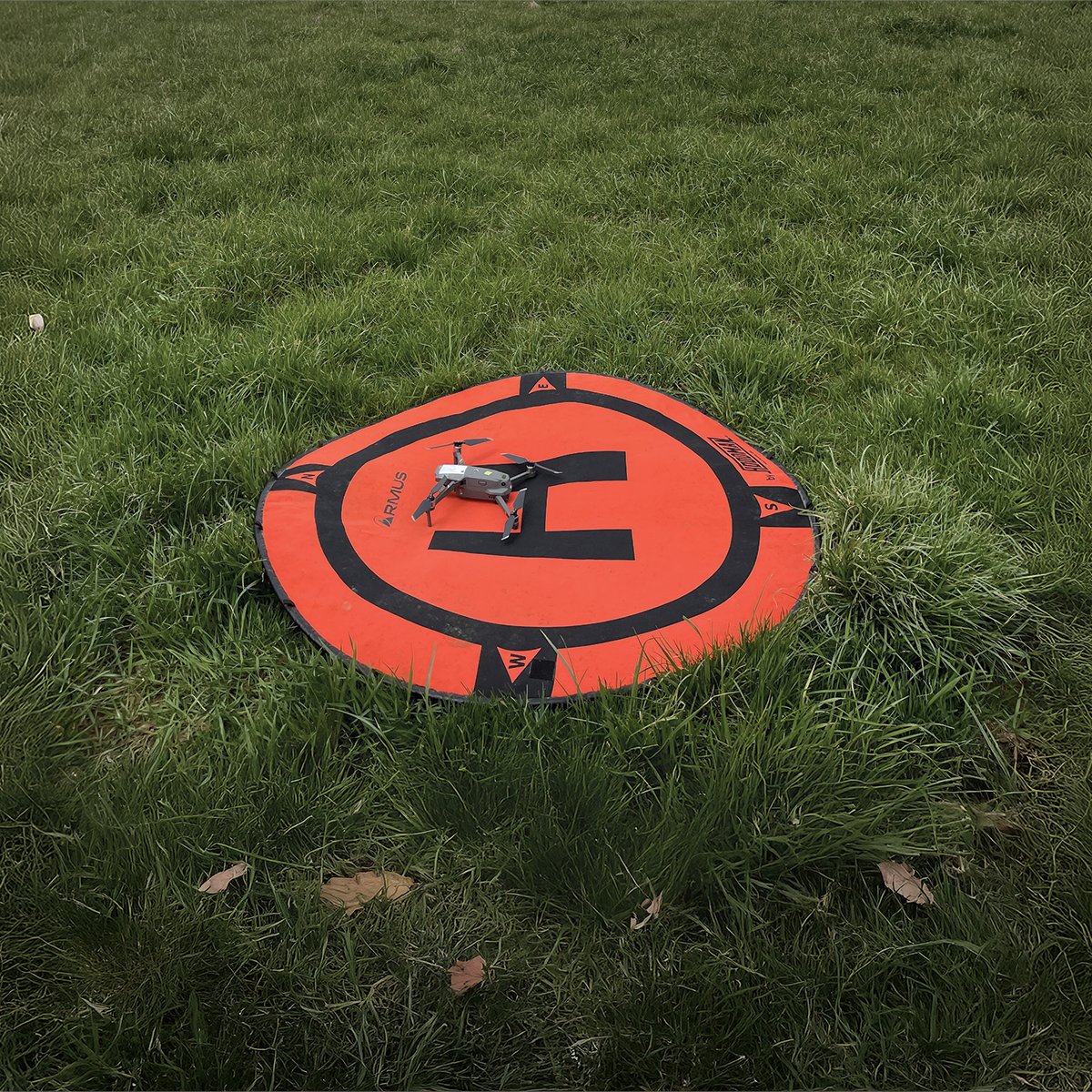 THE TURF ZONE tweet media