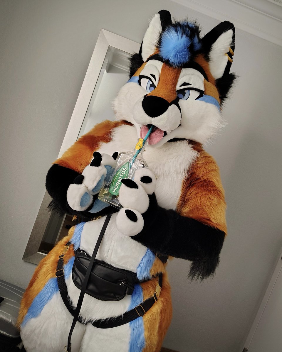 Ari 🦊 🔜 FWA/AC tweet media