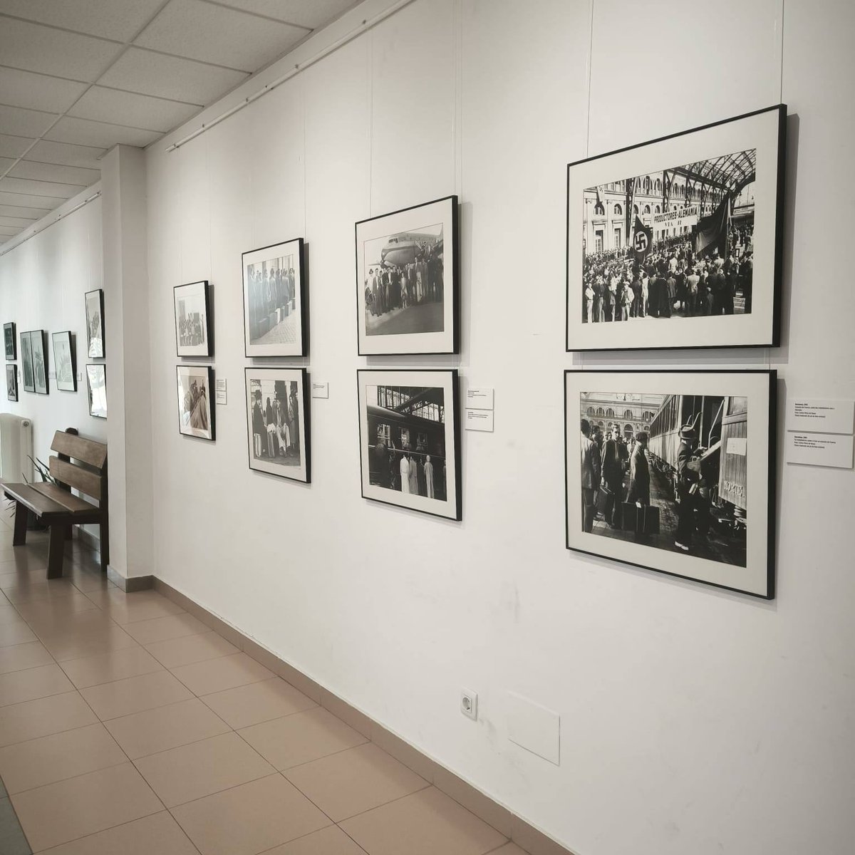 Concello de Pantón tweet media