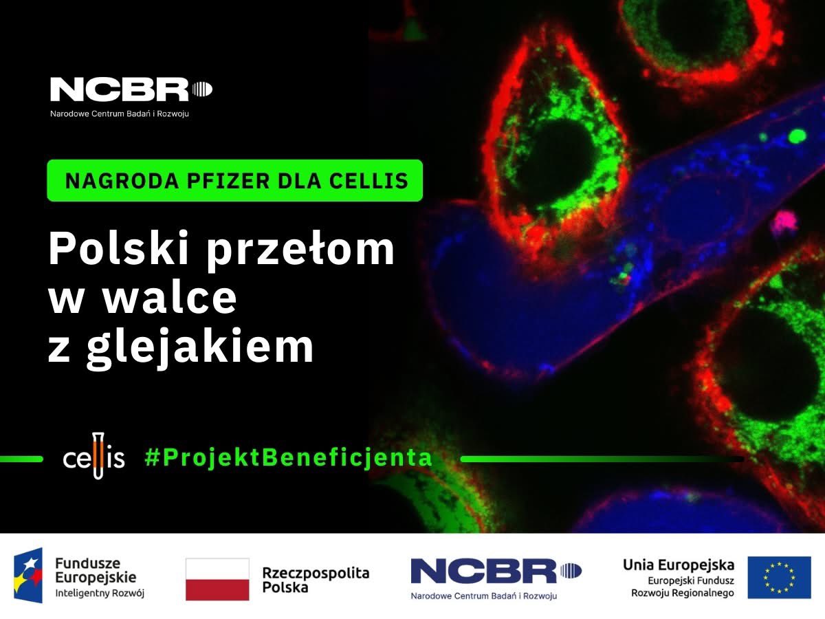 NCBR_pl's tweet photo. Publikacja naukowa na temat przełomowej terapii komórkowej glejaka, będąca jednym z rezultatów projektu rozwijanego przez #Cellis Sp. z o.o. przy wsparciu #NCBR oraz #FunduszeUE, została uhonorowana prestiżową nagrodą w obszarze onkologii.
Więcej ℹ️: https://t.co/1zOyMpUUCZ https://t.co/pshzTjrnKY