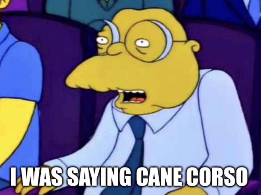 dog planet tweet media