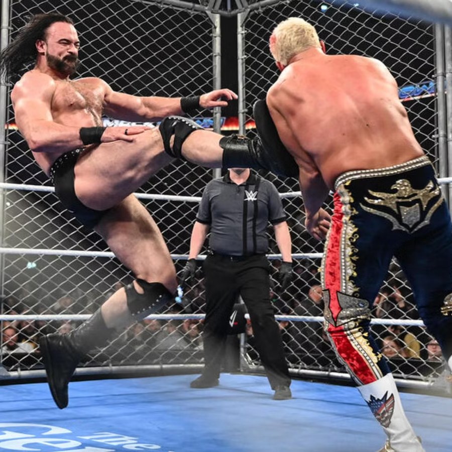 LuigiWrestling tweet media