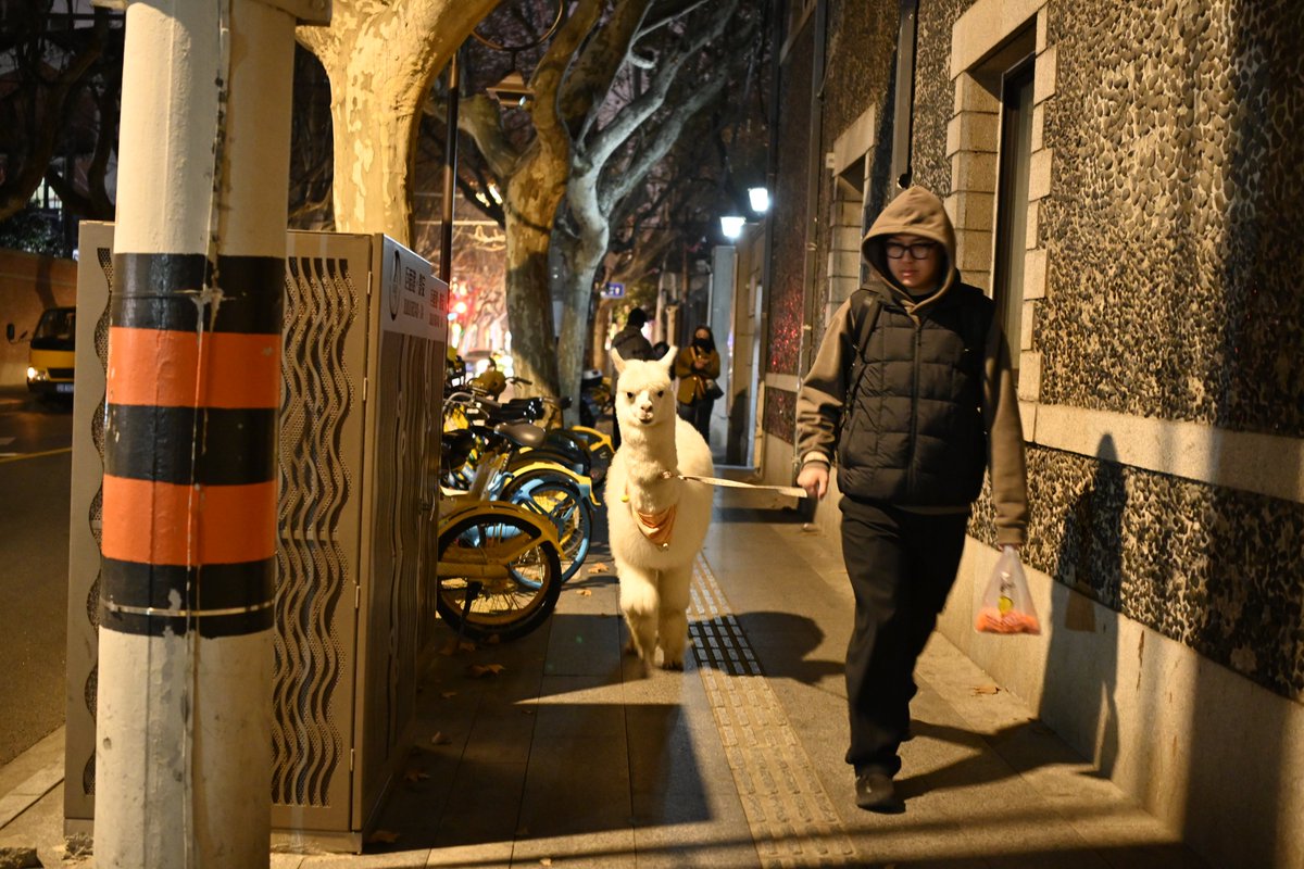 宁宁_爱生活 tweet media