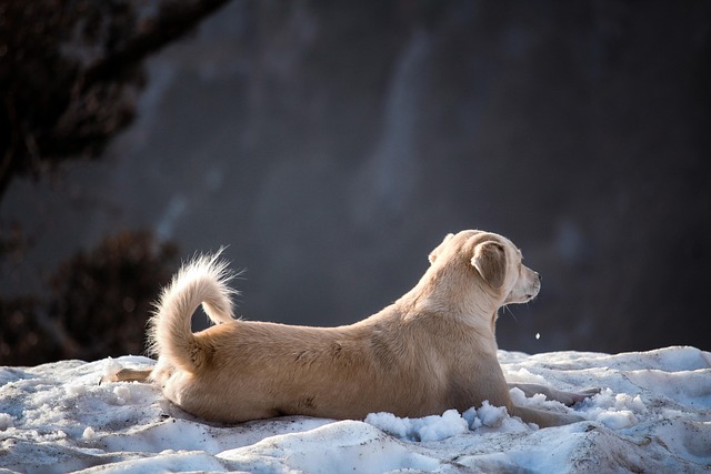 Quienten Riley tweet media