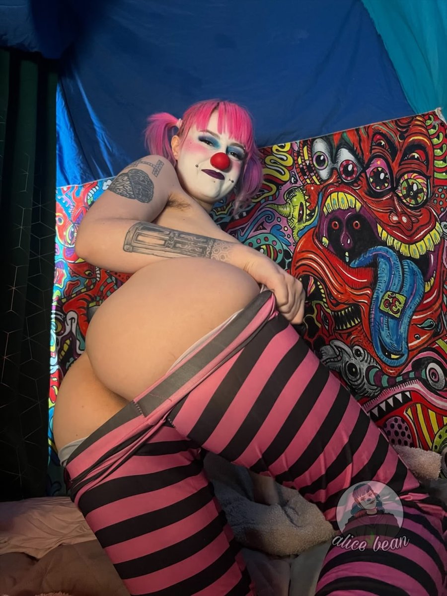 🎈Alice Promotes🎈 tweet media