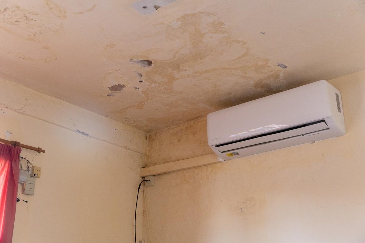 Francisco Lucas tweet media