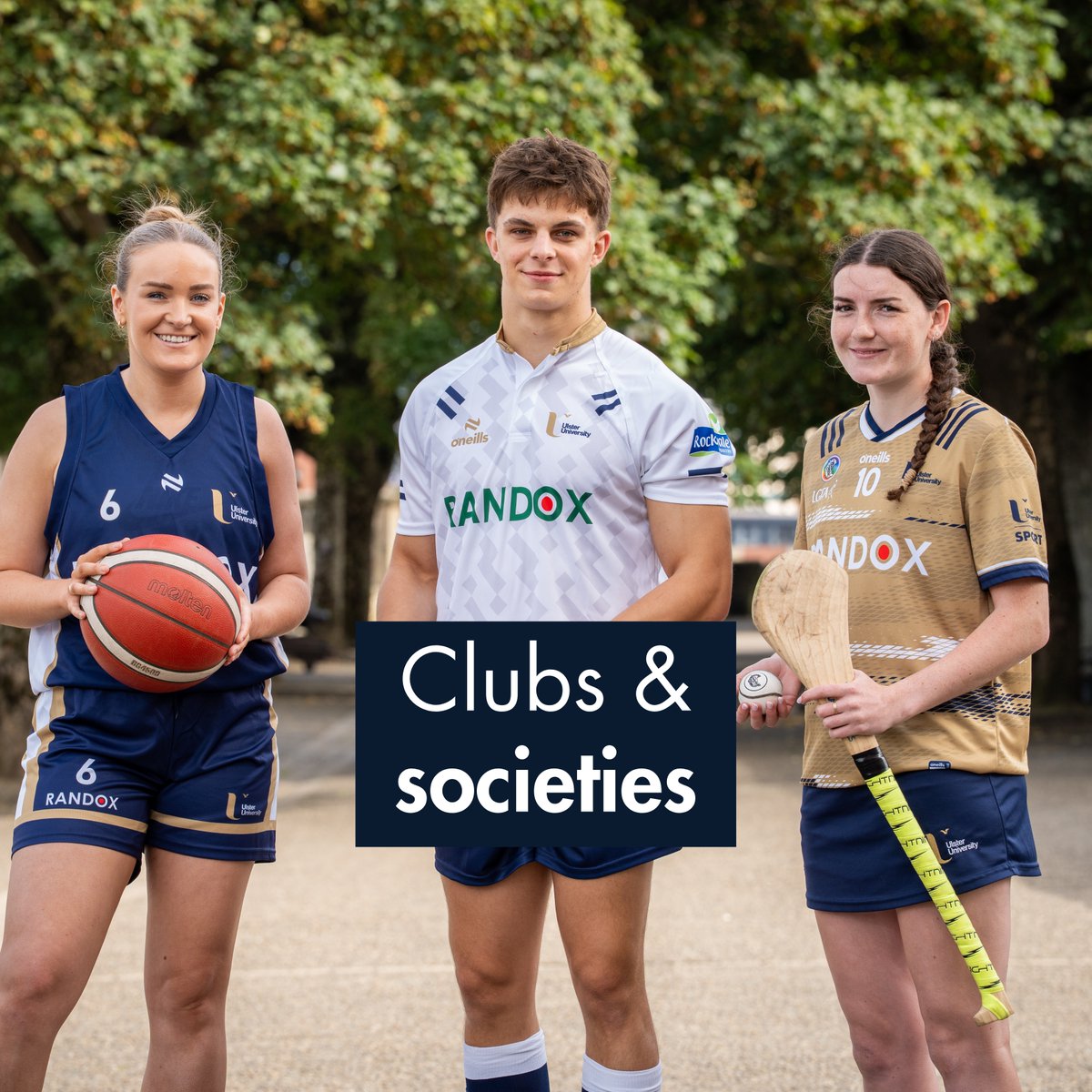 Study At Ulster tweet media