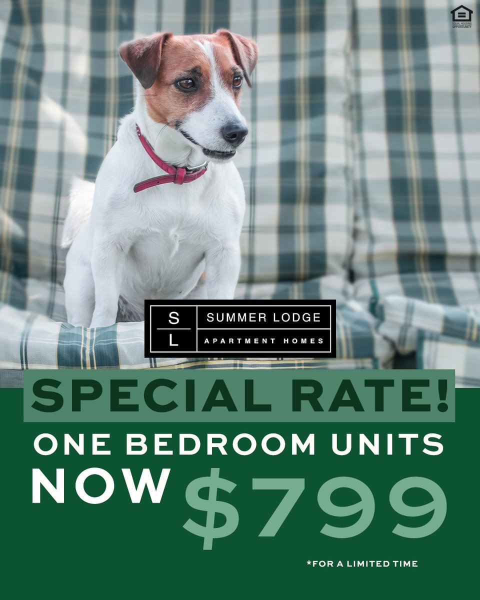 Summer Lodge Apartment Homes tweet media